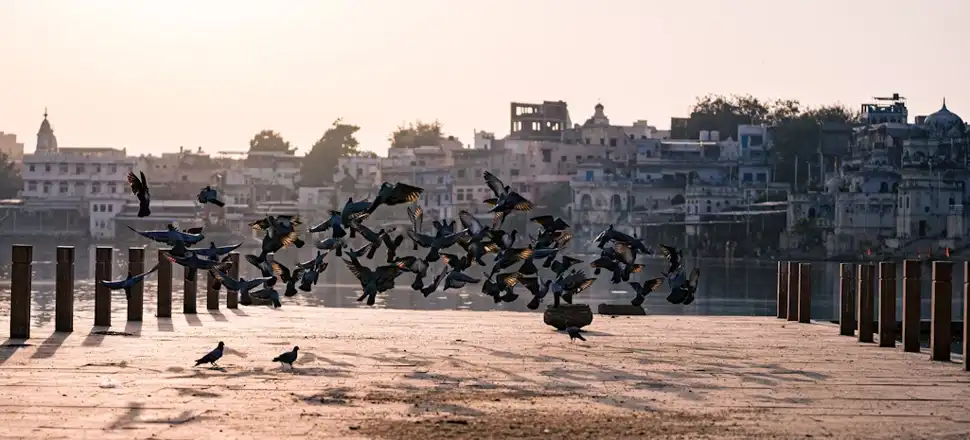 Golden Triangle Tour With Ajmer And Pushkar